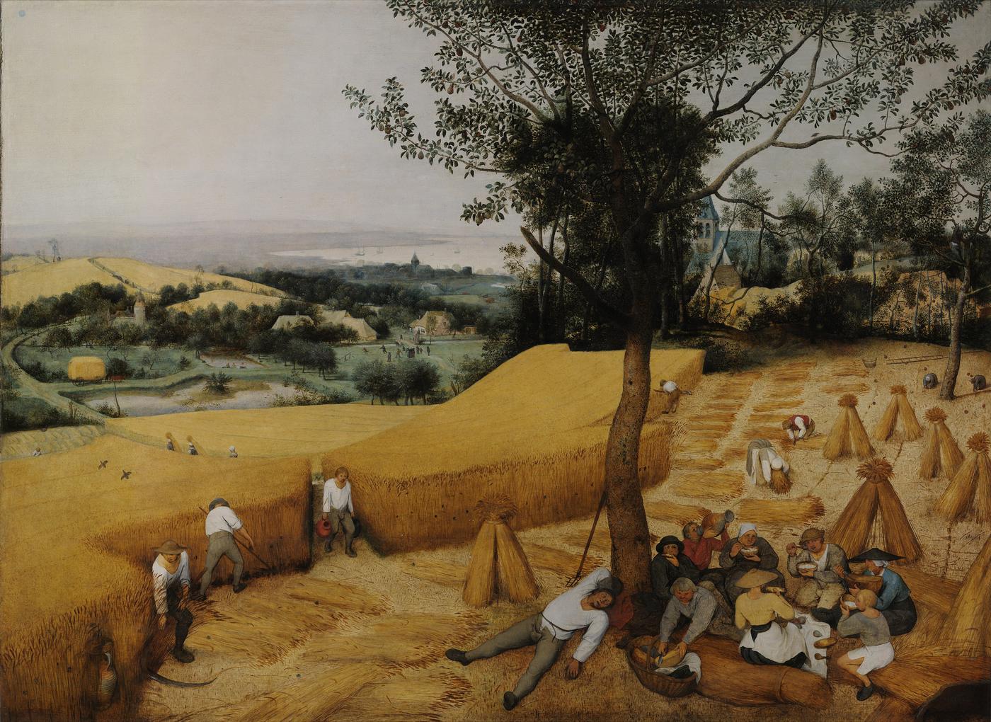 Pieter Bruegel the Elder, The Harvesters, workers resting in a wheat field